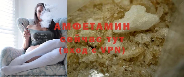 индика Коряжма