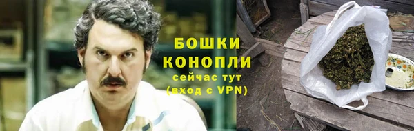 ГАЛЛЮЦИНОГЕННЫЕ ГРИБЫ Костерёво
