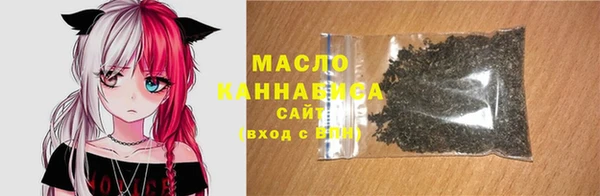 индика Коряжма