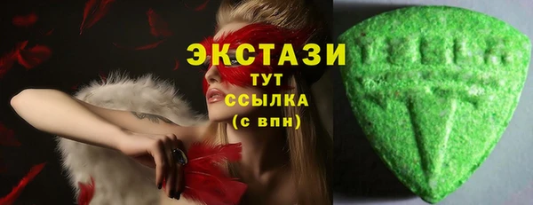 индика Коряжма