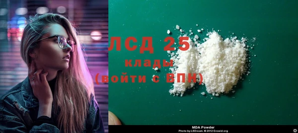 индика Коряжма