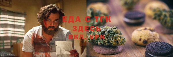индика Коряжма