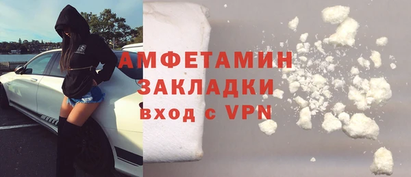 индика Коряжма