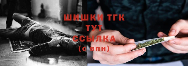 индика Коряжма