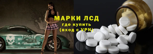 индика Коряжма