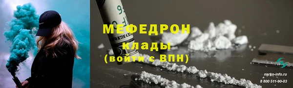 индика Коряжма