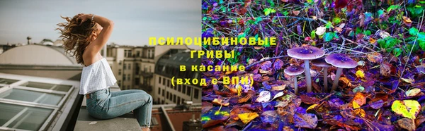 ГАЛЛЮЦИНОГЕННЫЕ ГРИБЫ Костерёво