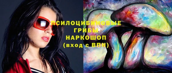ГАЛЛЮЦИНОГЕННЫЕ ГРИБЫ Костерёво