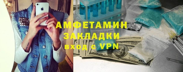 индика Коряжма