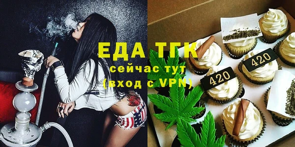 индика Коряжма