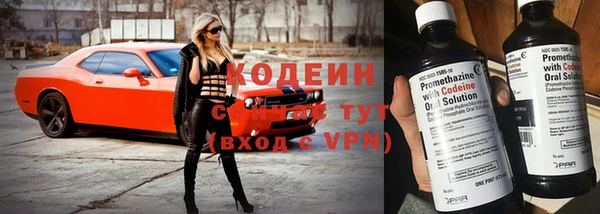 индика Коряжма