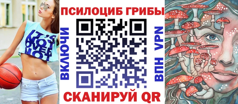 цены наркотик  Терек  Галлюциногенные грибы MAGIC MUSHROOMS 